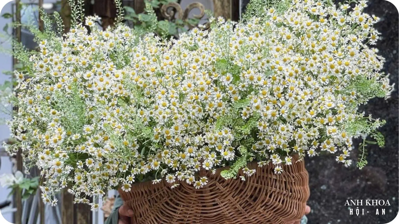 Beautiful flower arrangements at hoi an flower shop