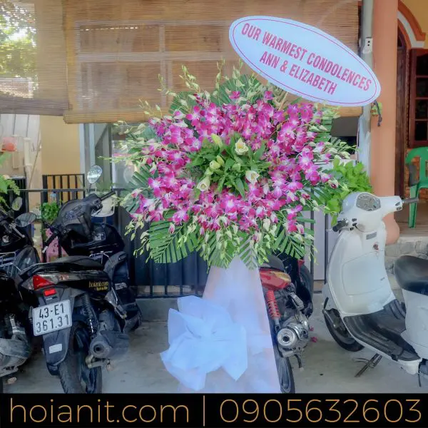 HT 84 | Anh Khoa Company | Scooter Rental Hoi An | hoianit.com