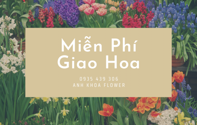 miễn phí giao hoa