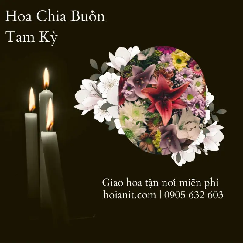 Hoa Tươi Tại Tam Kỳ