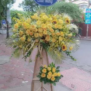 hoa tươi hội an