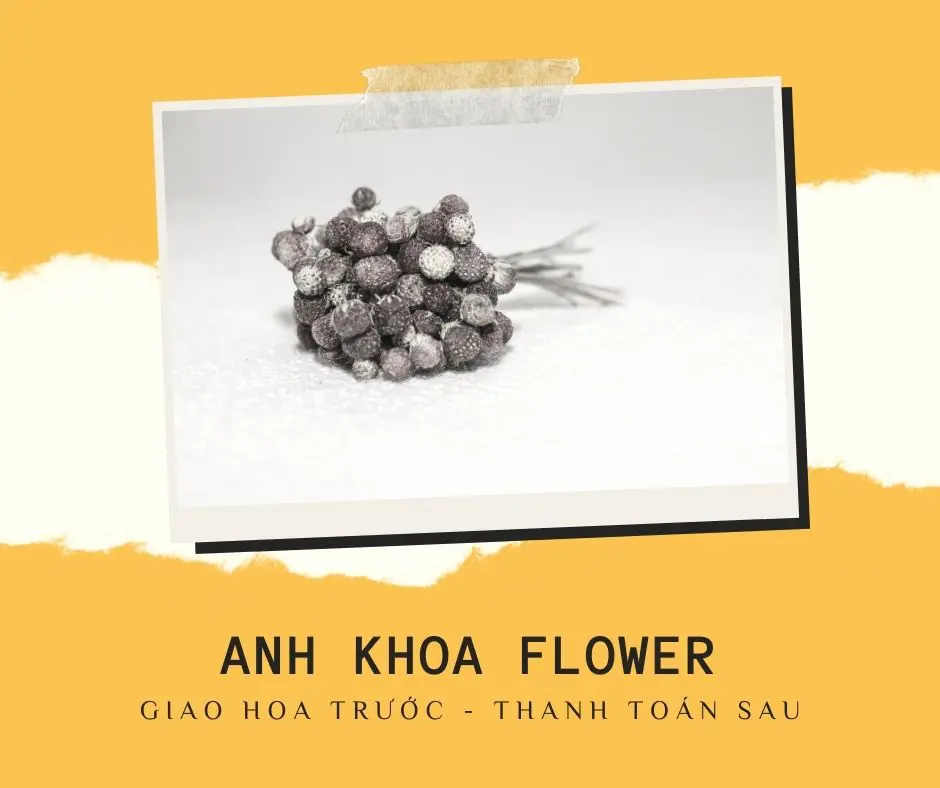 Bó hoa dâu tây Hội An