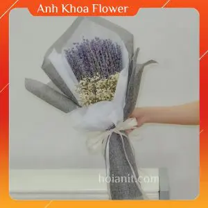 shop-hoa-lavender