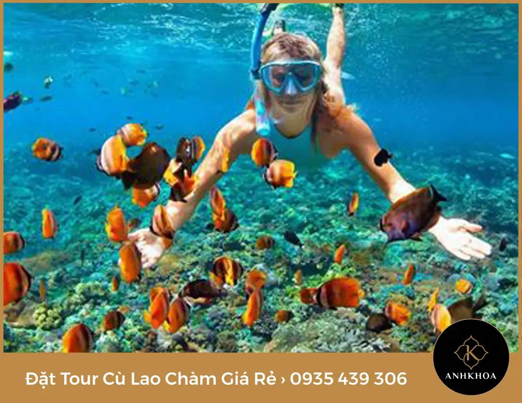 Dat Tour Cu Lao Cham Hoi An 4 | Anh Khoa Company | Scooter Rental Hoi An | hoianit.com