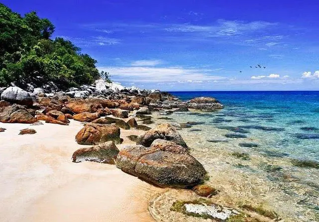 Cu lao cham island