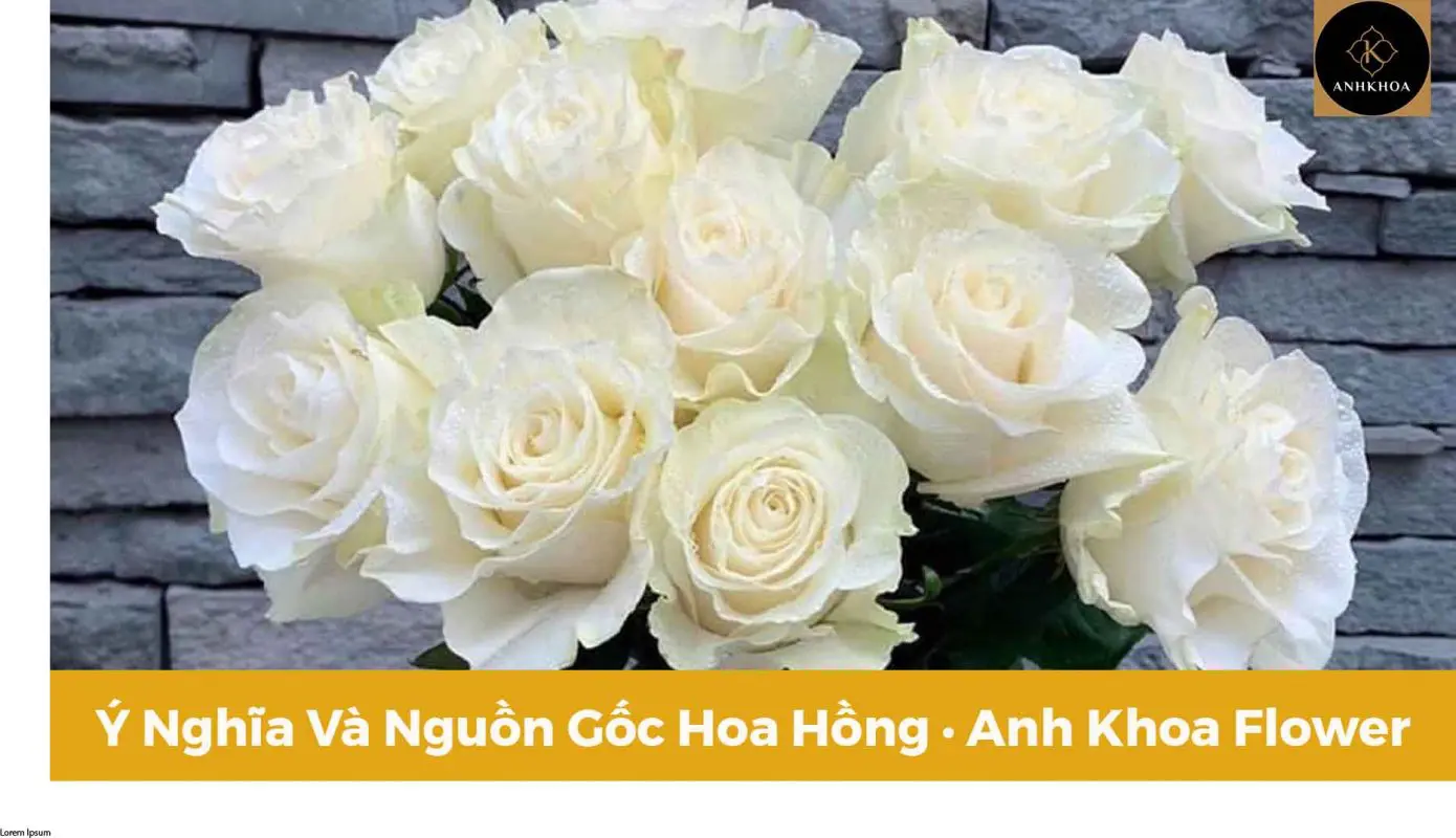 Y nghia hoa hong trang