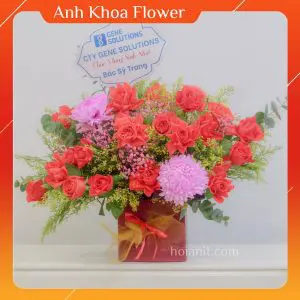 anh khoa flower