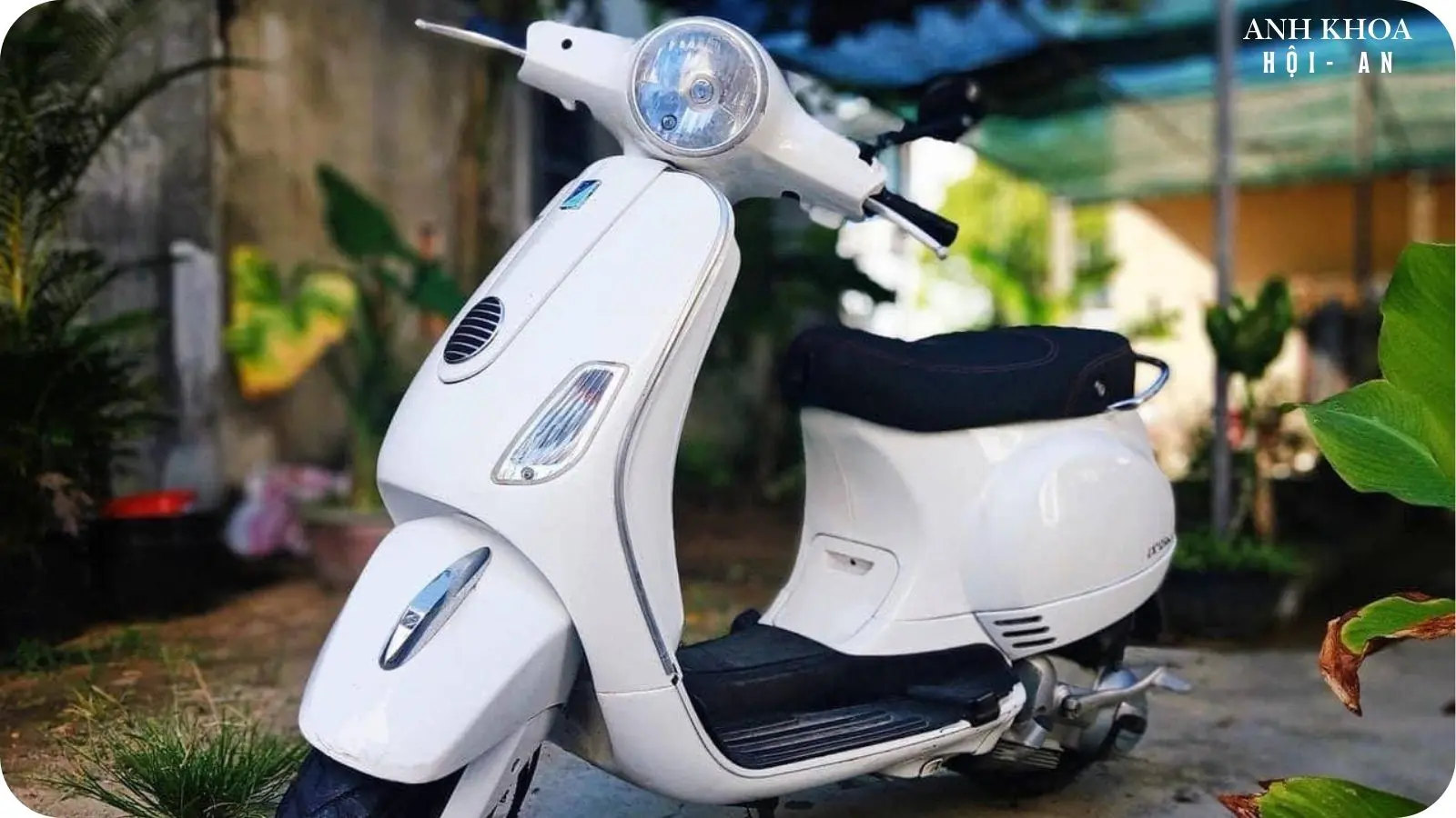 Rent a stylish vespa in hoi an for a classic and comfortable ride.