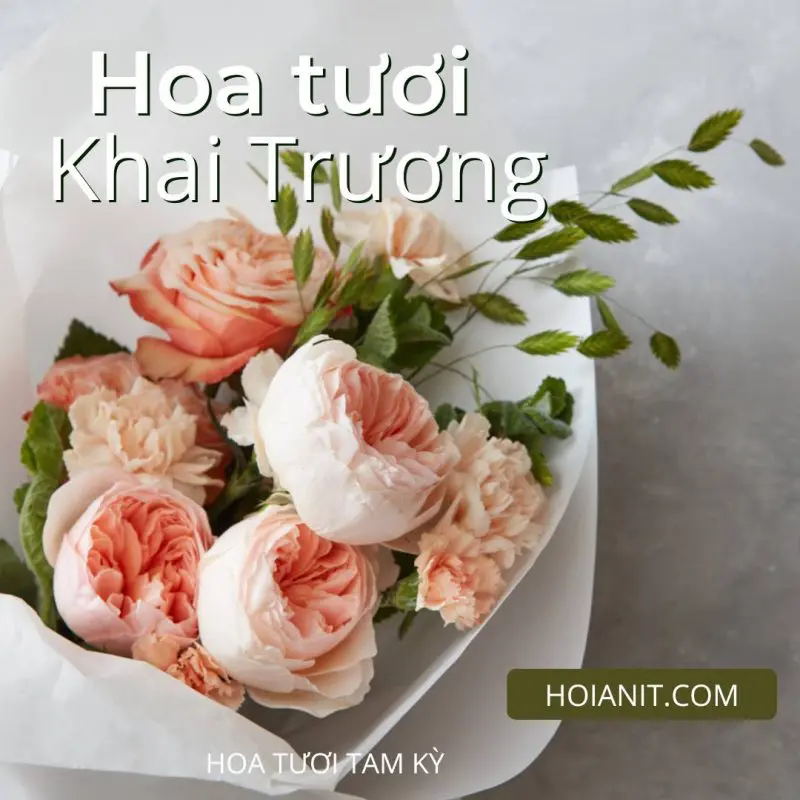 Hoa Tươi Tại Tam Kỳ