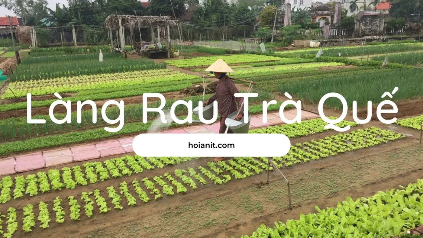 làng rau trà quế