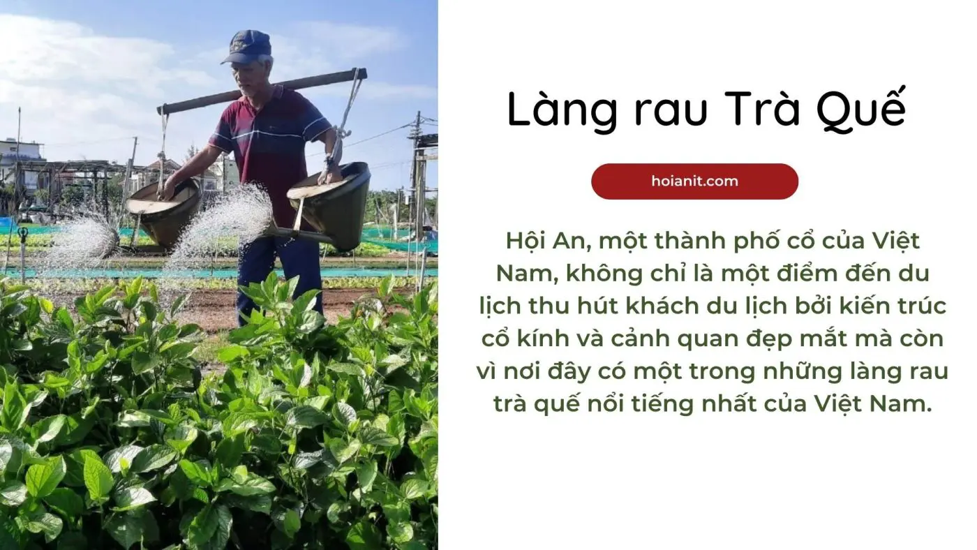 làng rau trà quế