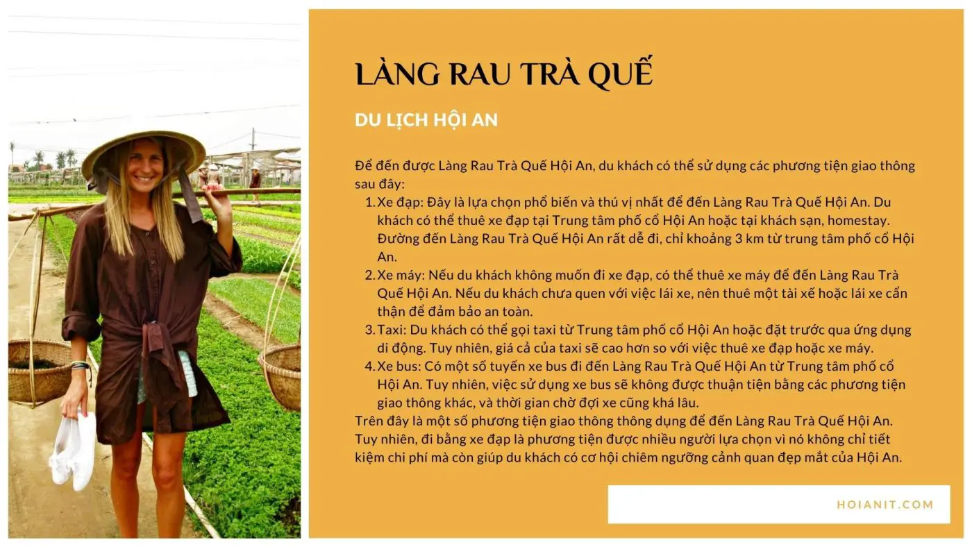 lang rau tra que 5 | Anh Khoa Company | Scooter Rental Hoi An | hoianit.com