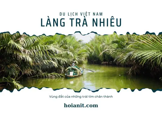 lang tra nhieu | Anh Khoa Company | Scooter Rental Hoi An | hoianit.com