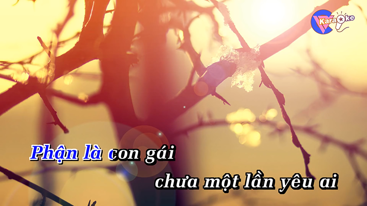 thuê loa kéo hội an 5