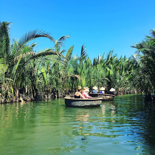 rừng dừa bảy mẫu 1