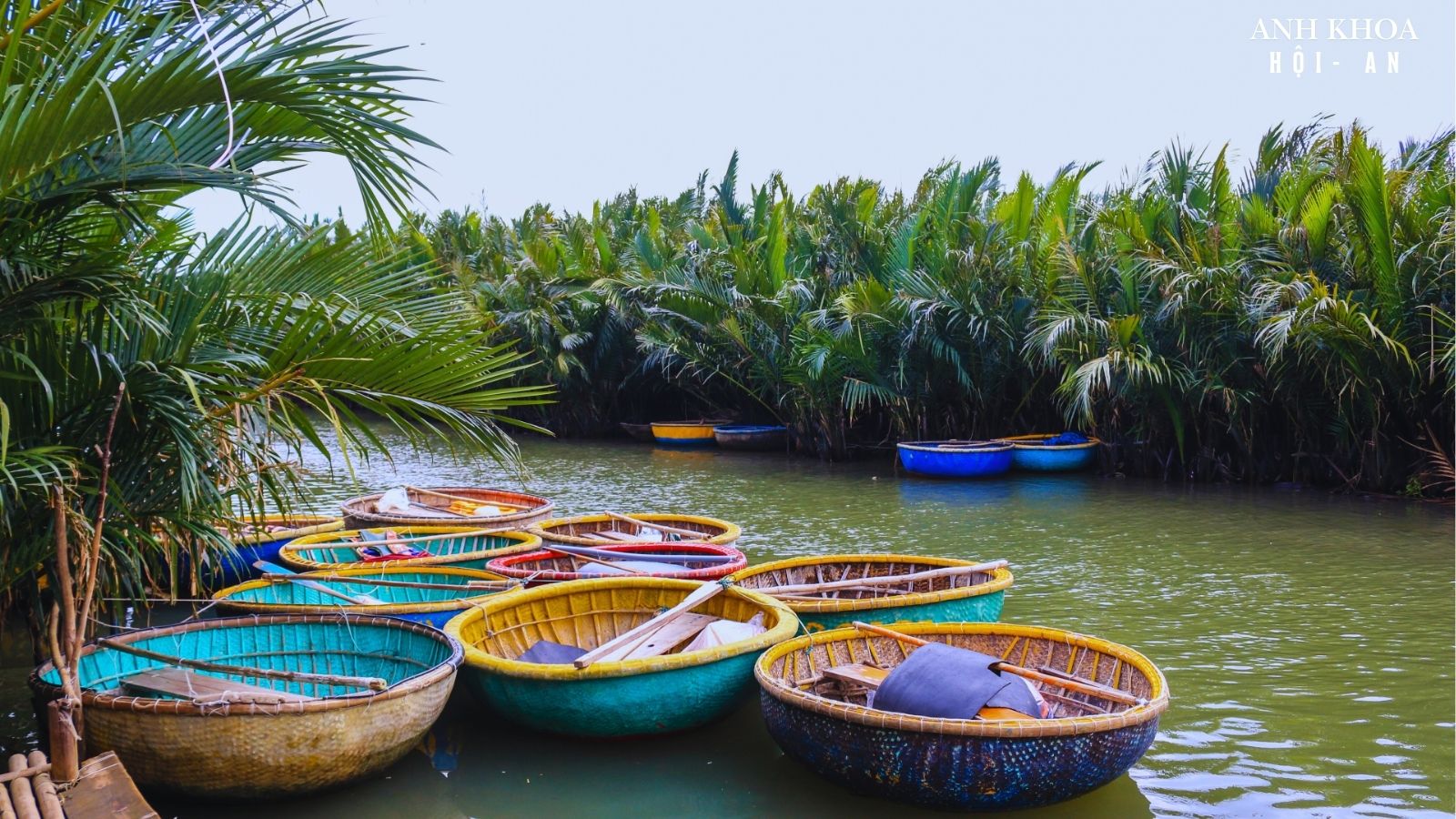 Thuyền thúng neo ở mép rừng dừa Cẩm Thanh