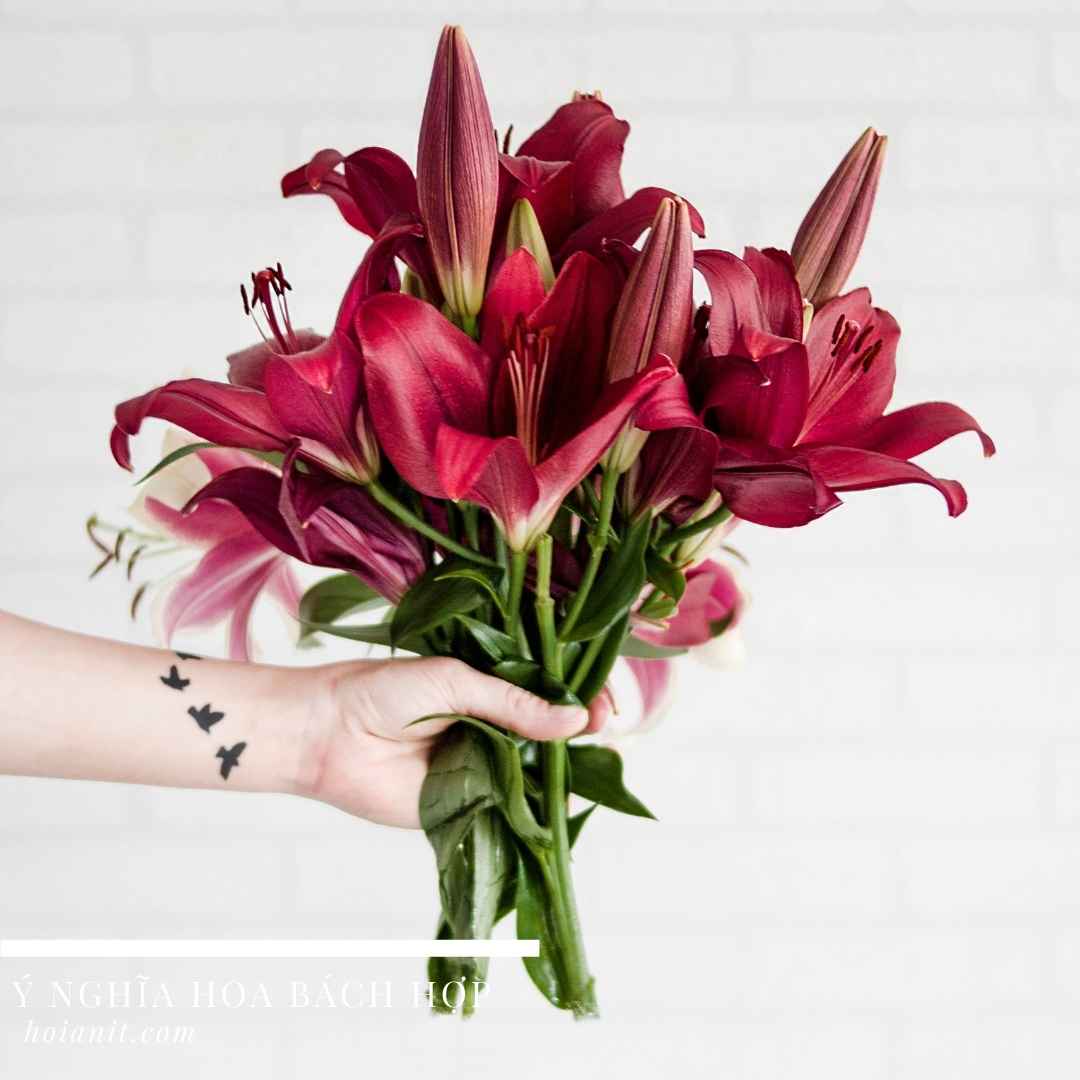 Ý nghĩa tượng trưng của hoa loa kèn trong xăm hình: Hoa loa kèn là một tượng trưng mạnh mẽ trong nghệ thuật xăm hình. Tại đây, bạn sẽ tìm hiểu về ý nghĩa tượng trưng của loại hình xăm đặc biệt này. Hãy khám phá và chọn cho mình một mẫu hoa loa kèn phù hợp nhất với ý muốn của bạn.