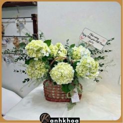 giỏ hoa cẩm tú câu hội an