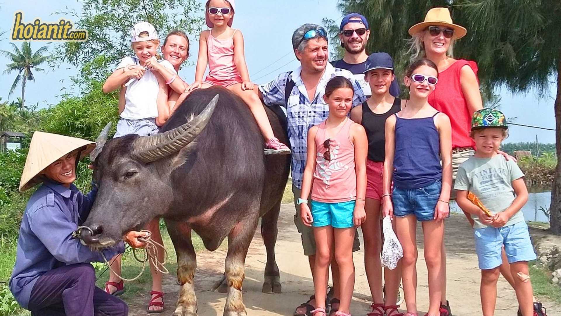 Foreign tourists enjoying Hoi An buffalo rides in the rice fields