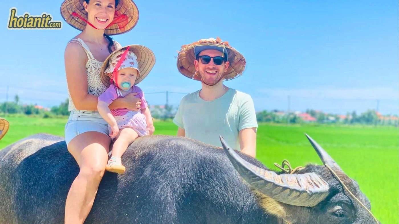 Buffalo Riding in Hoi An 2 Buffalo Riding in Hoi An
