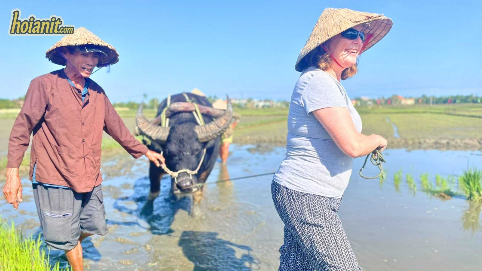 A water buffalo ride through Hoi An’s green rice paddies