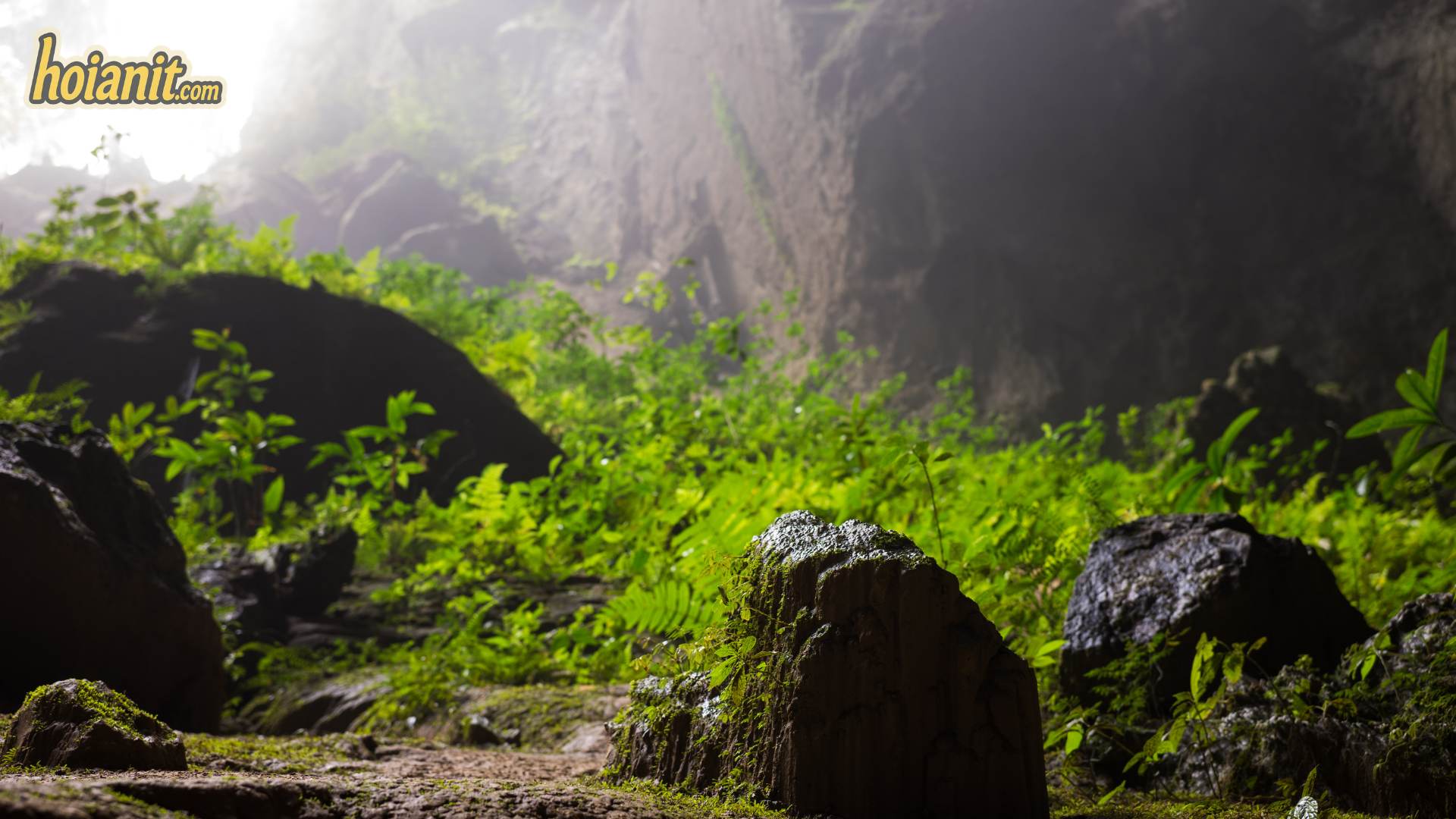 Dong Hoi motorbike rental for exploring Phong Nha Ke Bang National Park