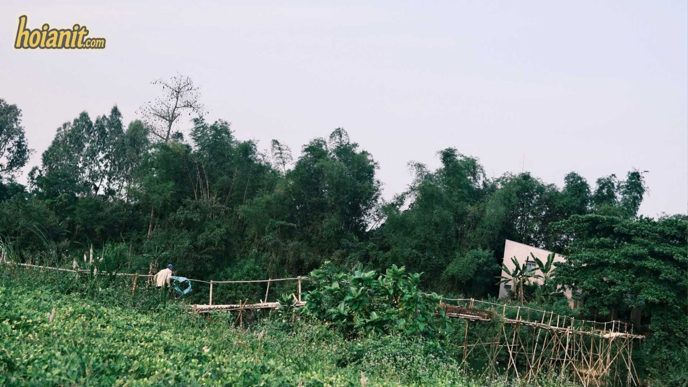 Cam Dong Bamboo Bridge 10 Cam Dong Bamboo Bridge