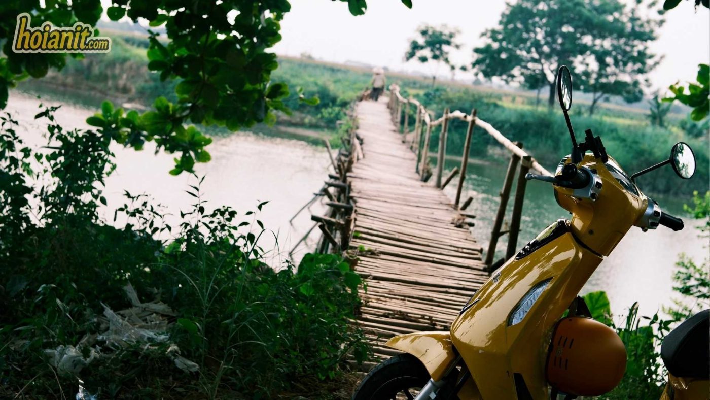 Cam Dong Bamboo Bridge 4 Cam Dong Bamboo Bridge