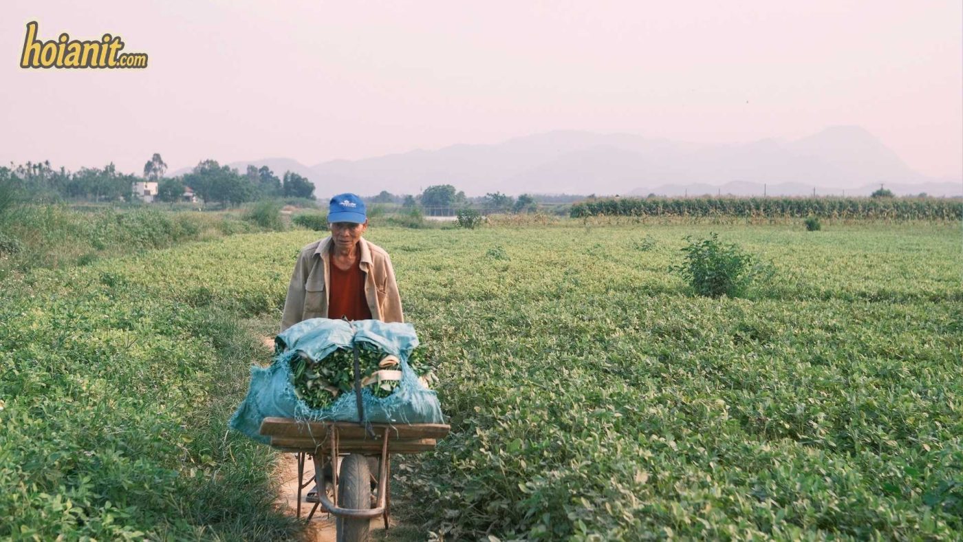 Cam Dong Bamboo Bridge 8 Cam Dong Bamboo Bridge
