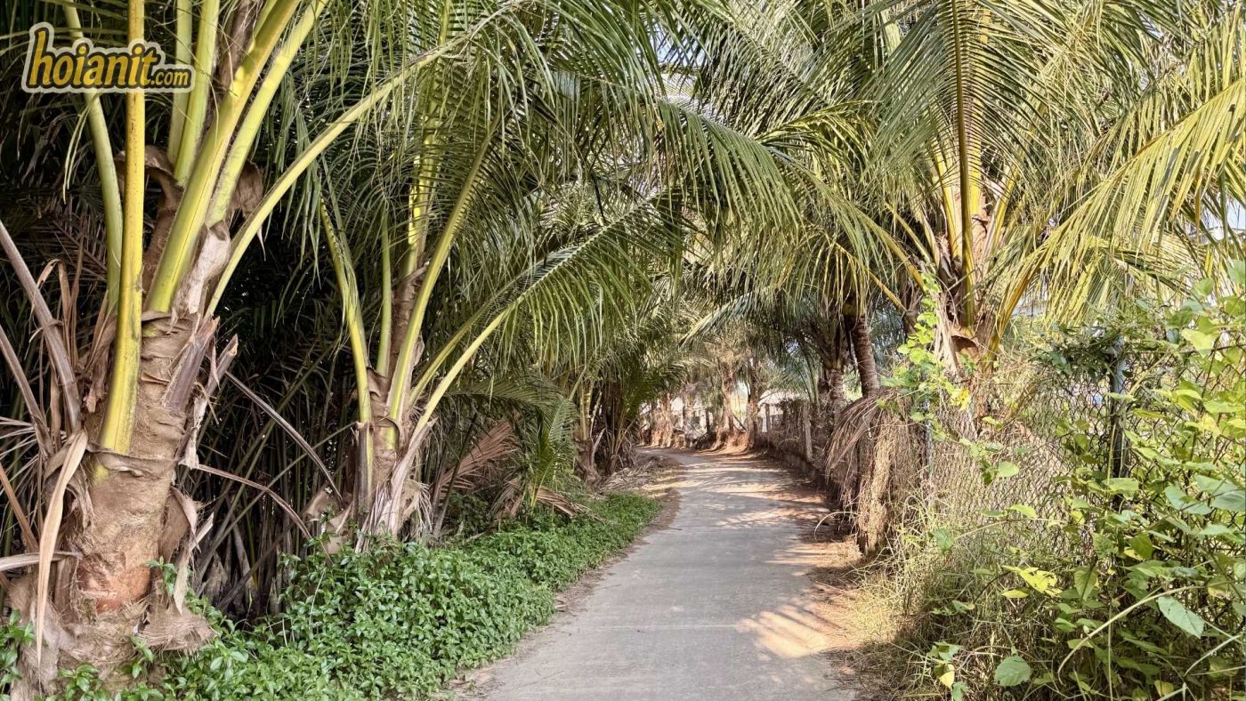 Cam Thanh Cam Thanh Coconut Village