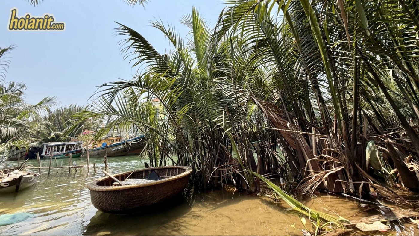 Cam Thanh Coconut Boat at Cam Thanh Coconut
