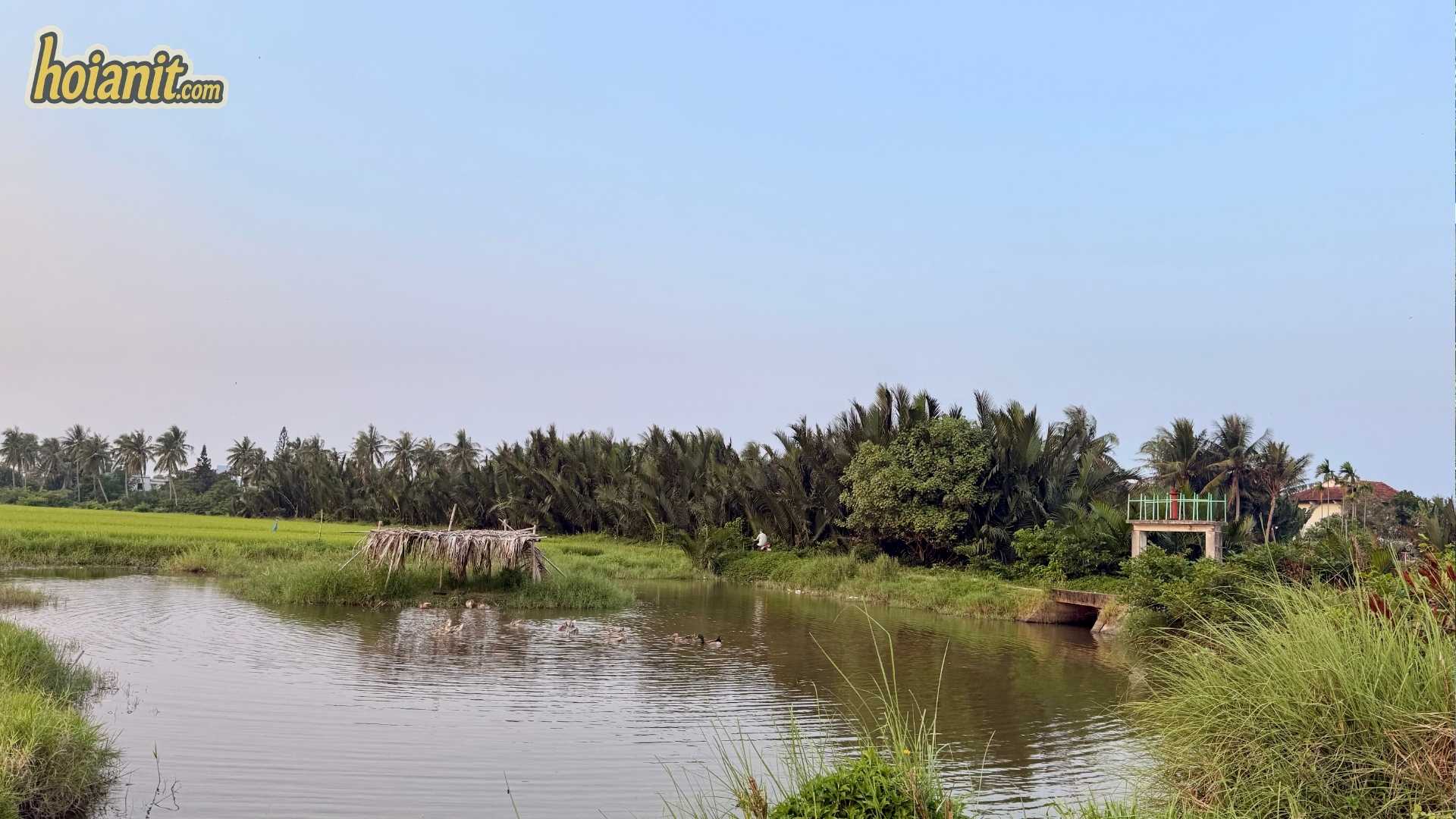 Route to Bay Mau Coconut Forest Cam Thanh Hoi An by motorbike