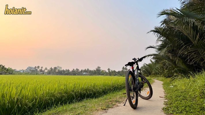 Cam Thanh Coconut Village