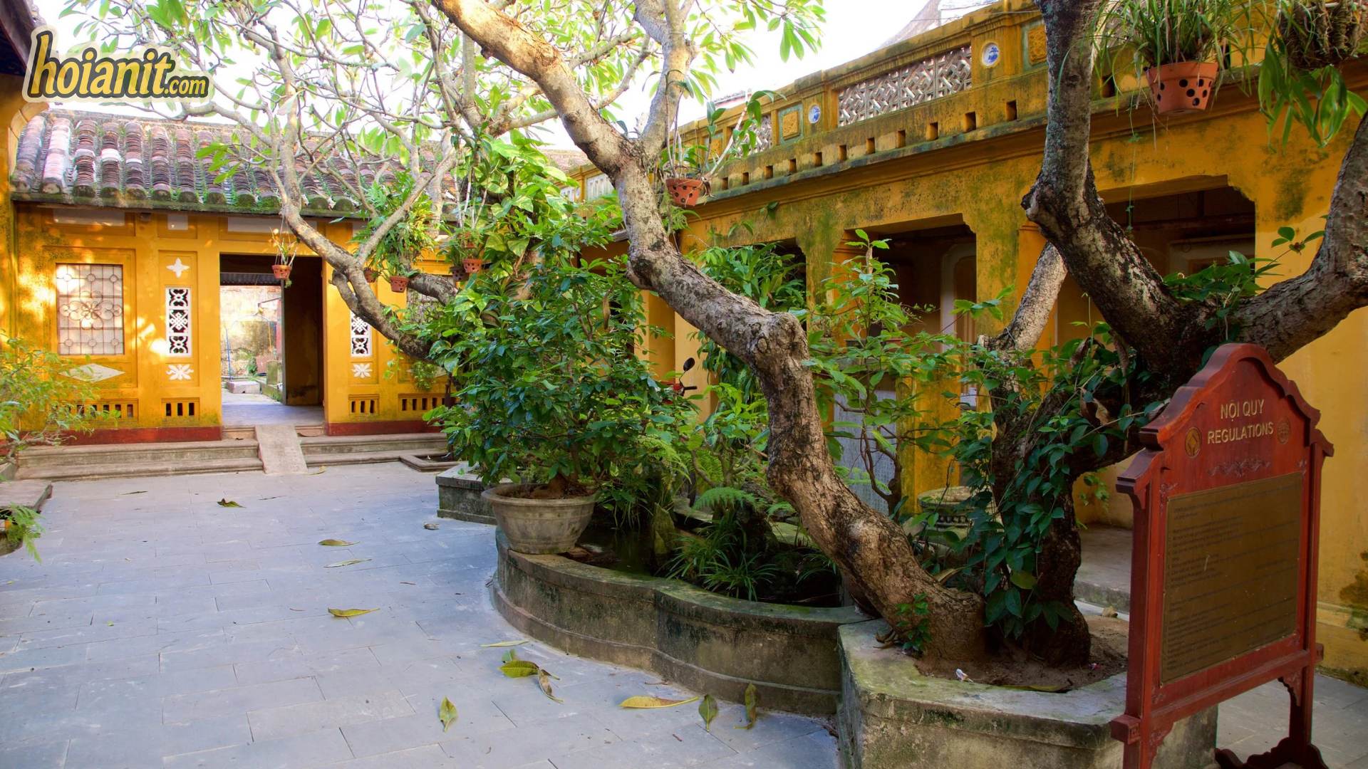 Inner courtyard of Chua Ong Pagoda Hoi An with old trees and a regulations board