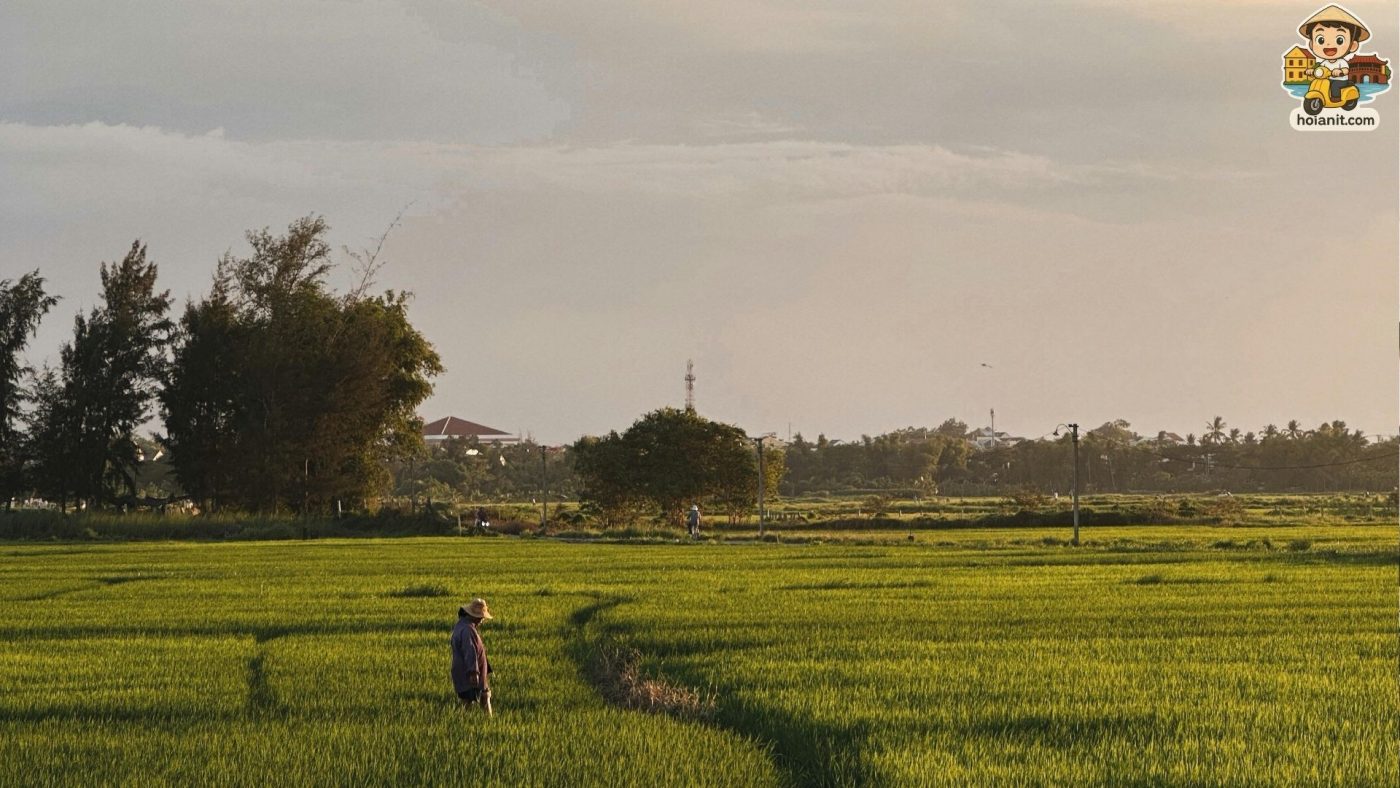 Craft Villages in Hoi An Visitors exploring craft villages in Hoi An, including pottery, carpentry, and organic farming – key cultural experiences in the Hoi An Budget Guide.