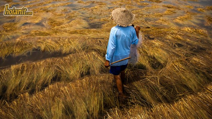 Exploring the Hoi An Countryside by Motorbike