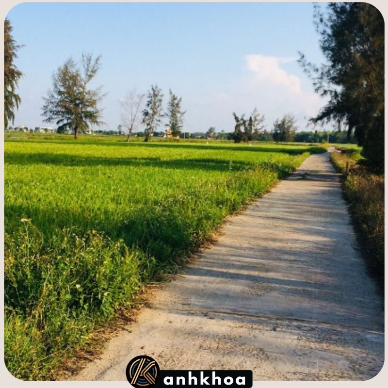 Hoi An Countryside by ebike