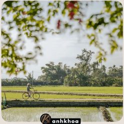 Hoi An Countryside by ebike