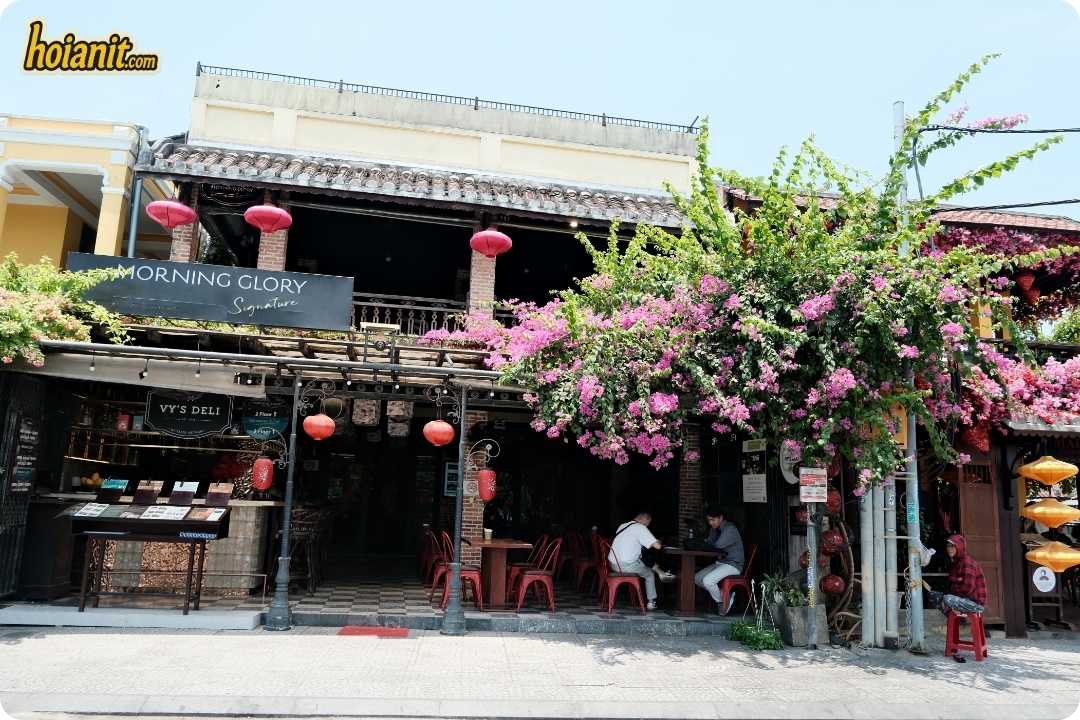 Hoi An Old Town1 1 Hoi An Old Town Bougainvillea Season Blooms