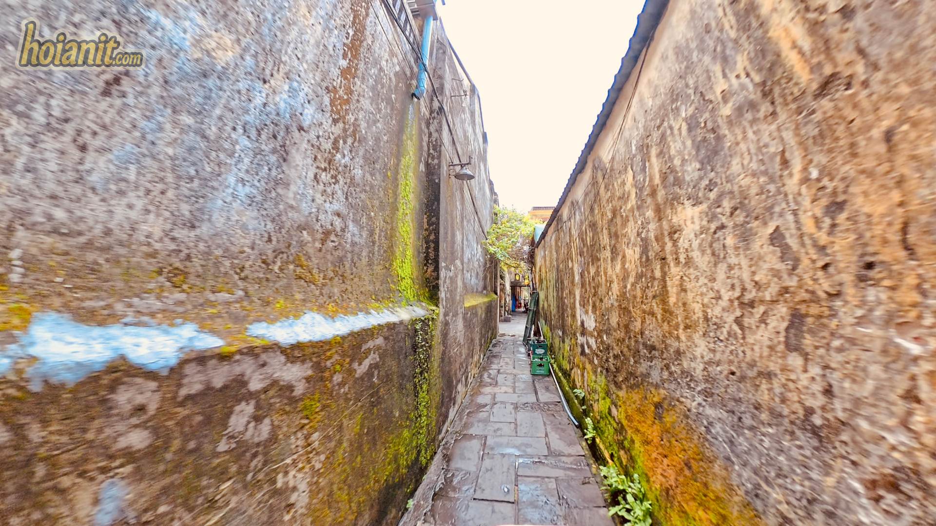 Narrow mossy lane in Hoi An Old Town, about as wide as Kiet Sica