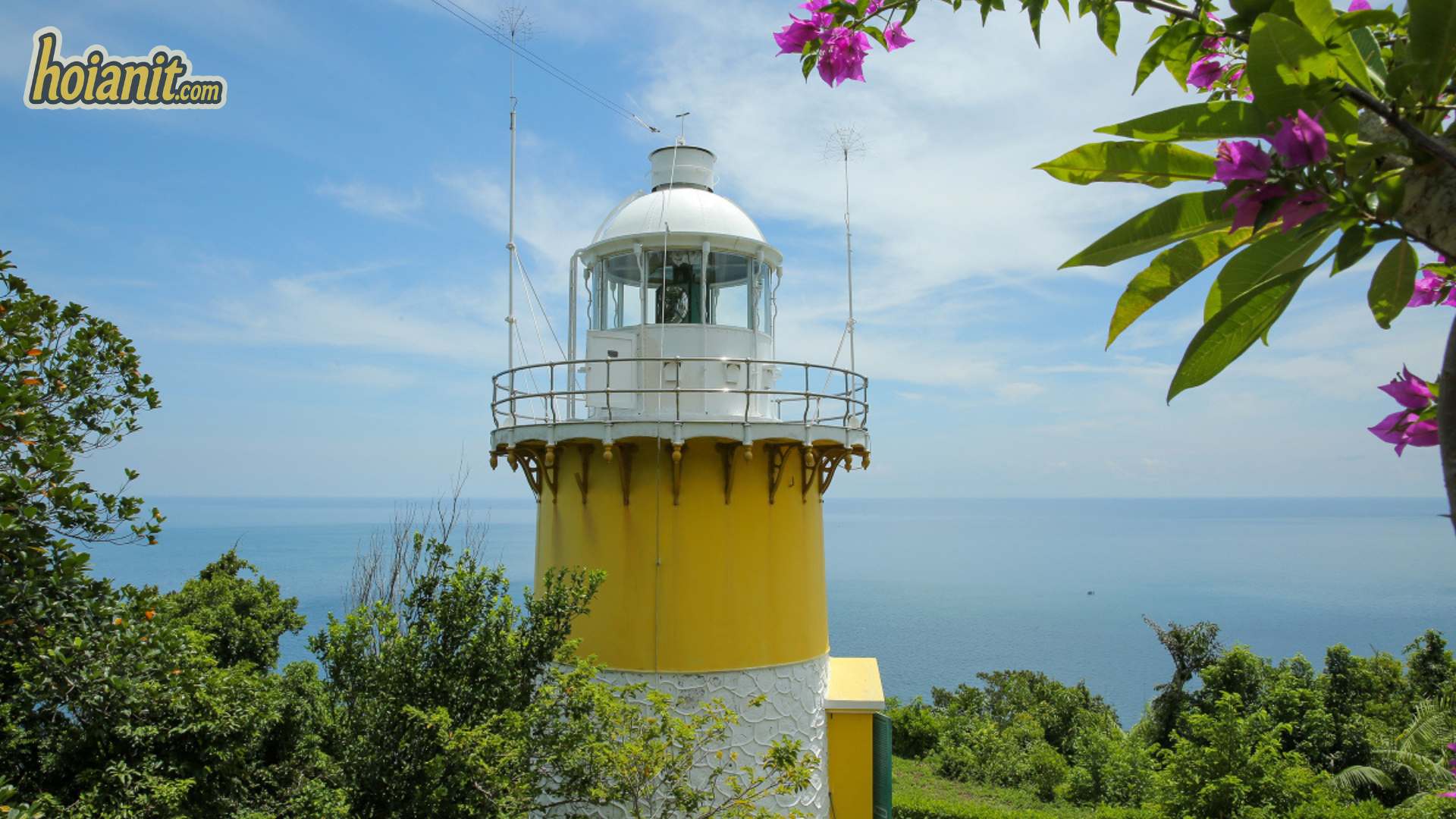 Tien Sa lighthouse on the Son Tra Peninsula framed by bougainvillea