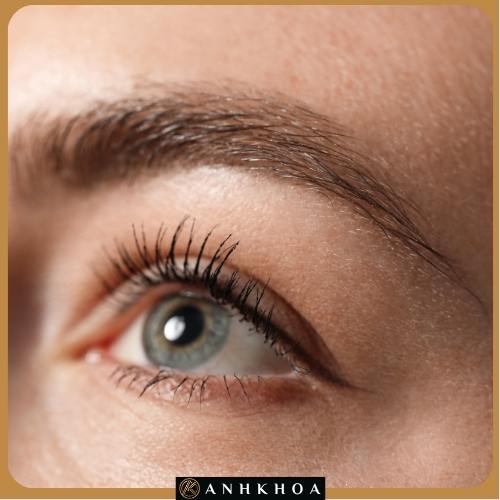 Srpay Eyebrow Srpay Eyebrow