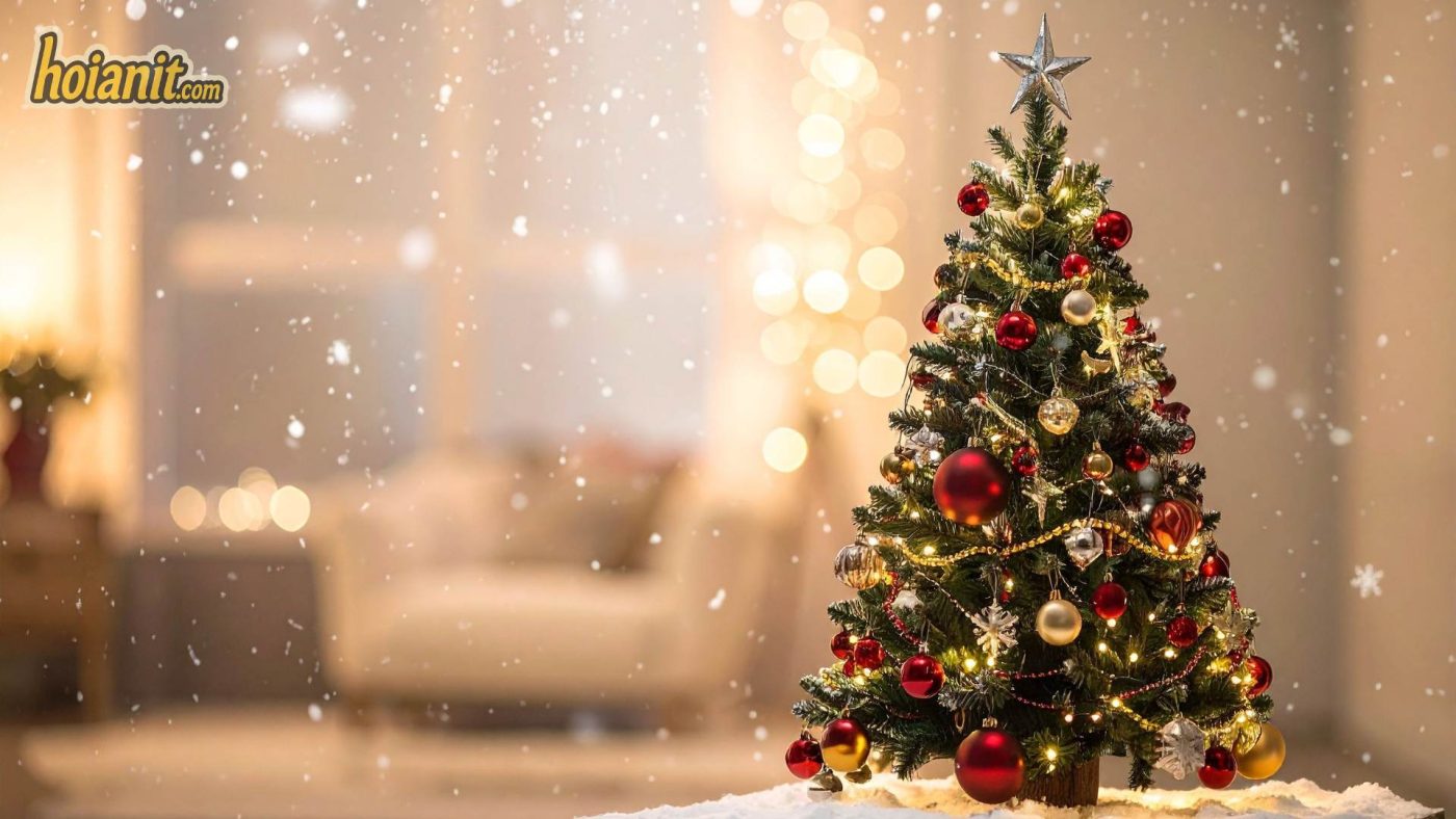 Tại sao Giáng Sinh có cây thông