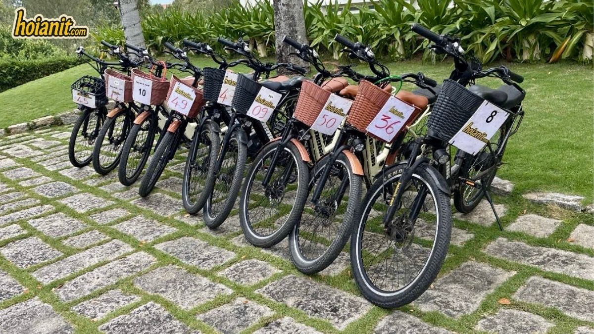 Row of numbered rental bicycles with baskets in Hoi An