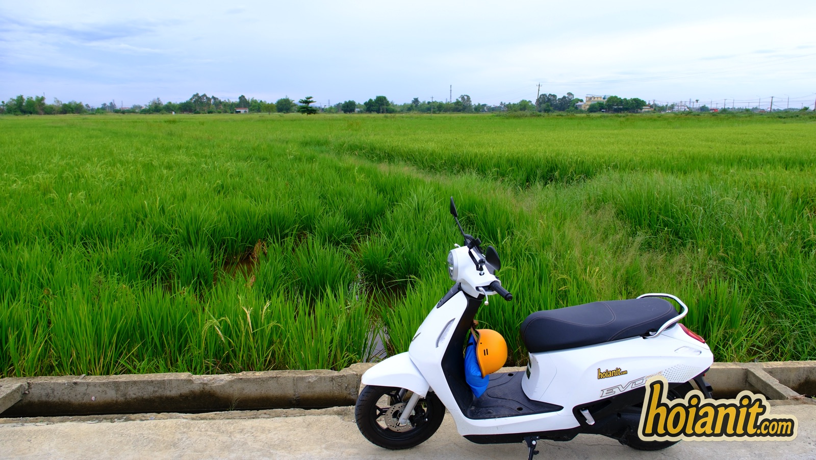 bike rental hoi an 2 917 Alquiler de moto eléctrica en Hoi An — scooter eléctrico junto a un arrozal