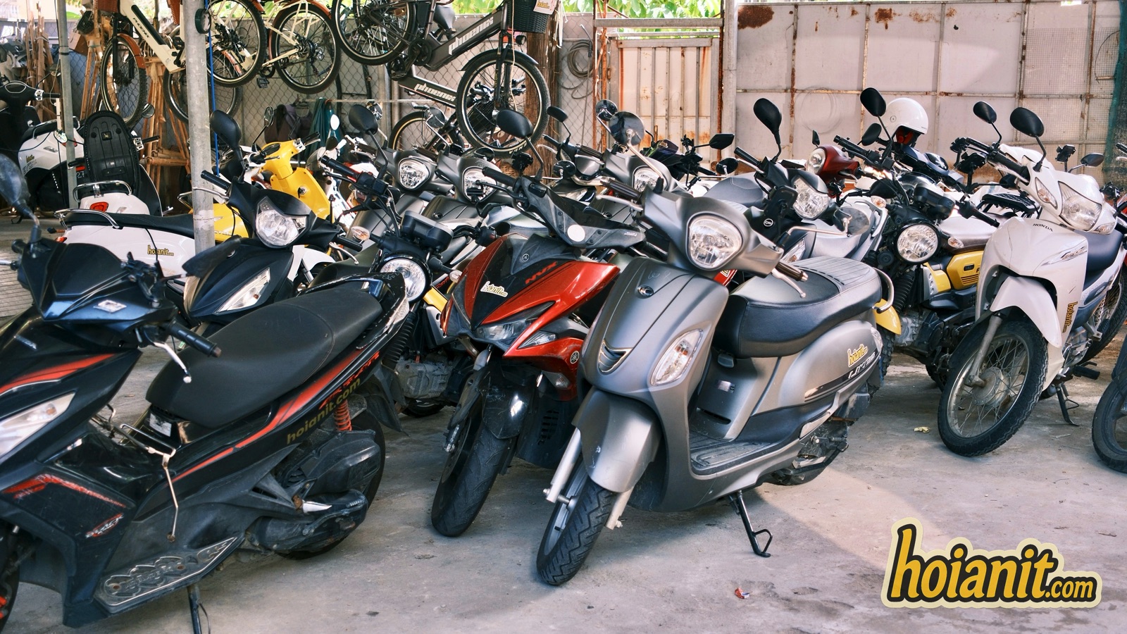 Staff at Anh Khoa Hoi An explaining a scooter to foreign customers before an A1 license question