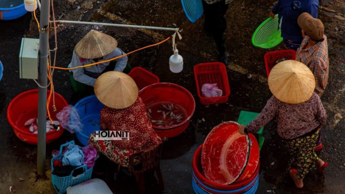 Hải sản tươi tại chợ cá Thanh Hà Hội An