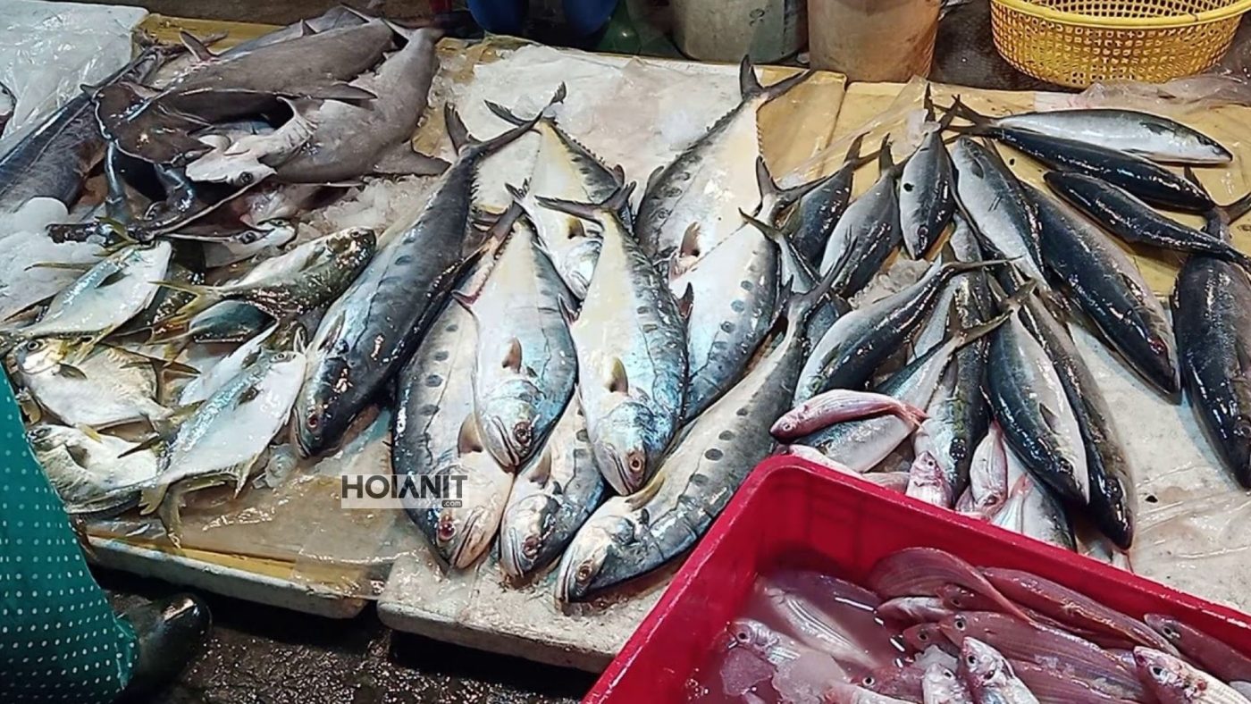 Chợ cá Thanh Hà Hội An