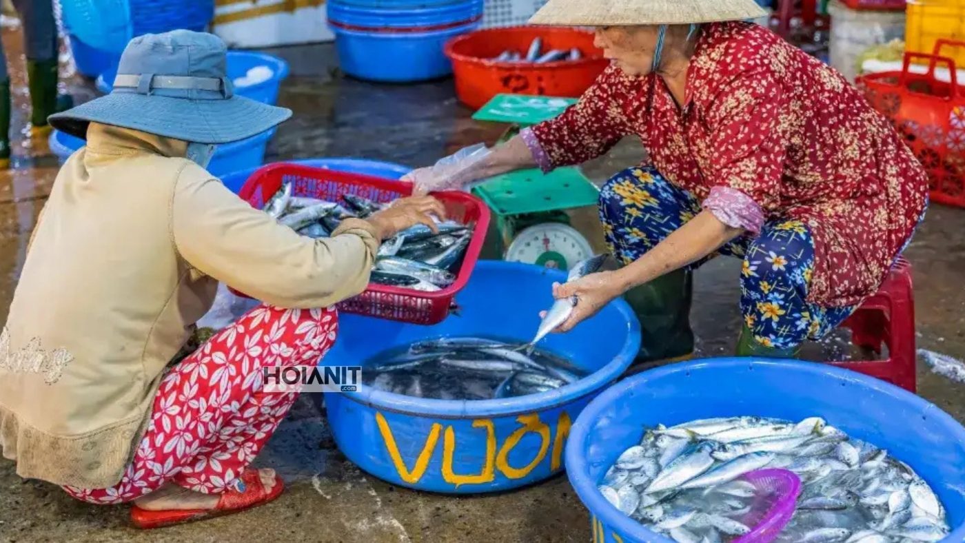 Chợ cá Thanh Hà nhộn nhịp vào sáng sớm