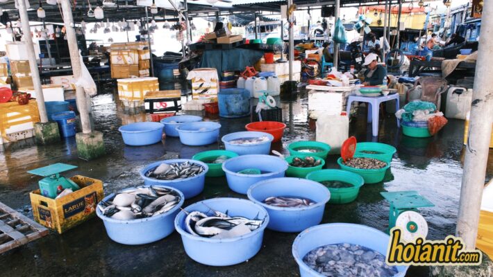 di hoi an nen chon xe dap dien hay xe may